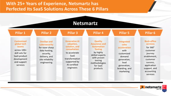 Netsmartz for SaaS - Page 10