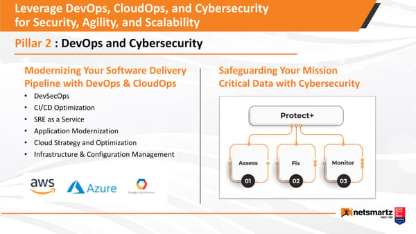 Netsmartz for SaaS - Page 12