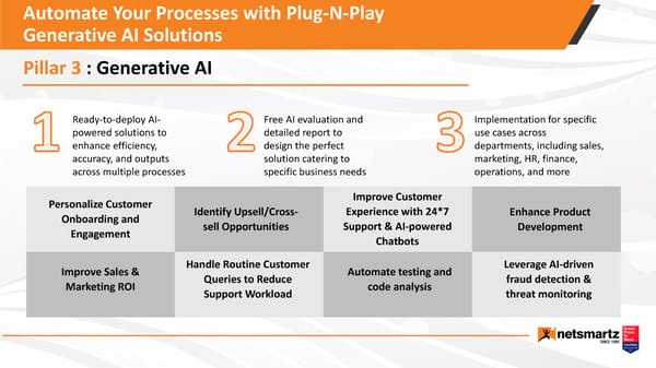 Netsmartz for SaaS - Page 13